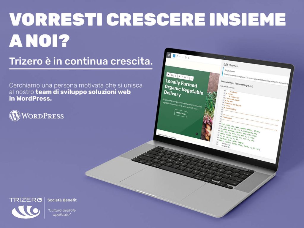 ricerca-personale-wordpress-def