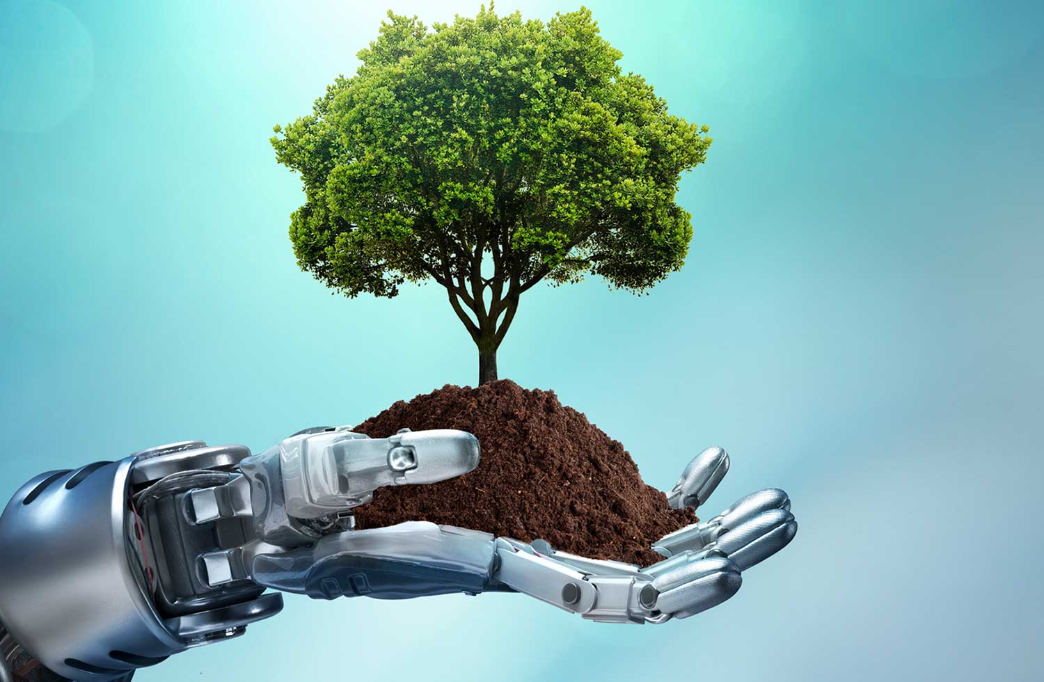 Digitalizzazione e Sostenibilità Ambientale