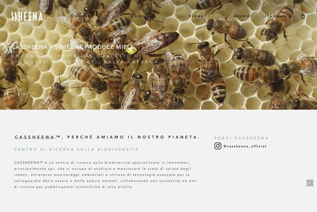 Sito Web Ssheena